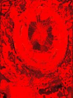 IMG_9739.jpeg