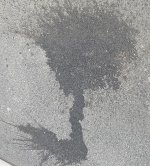 IMG_7768.jpeg