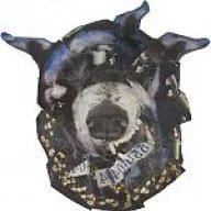 actualwolf