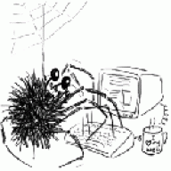 Slurp Spider
