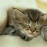 Montag