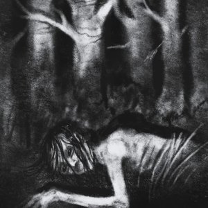 The death in the forest.jpg